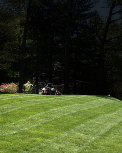 Odd Jobbers earns their stripes lawn mowing